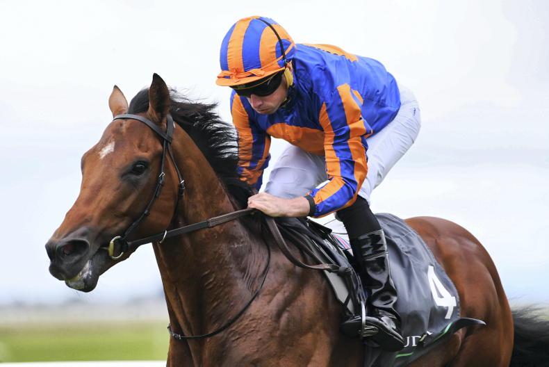 CURRAGH SATURDAY: Exciting maiden winner can enhance classic claims in Futurity - Vimarsana News