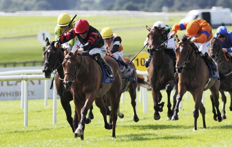 CURRAGH NEWS: Vespertilio impresses in smooth victory - Vimarsana News
