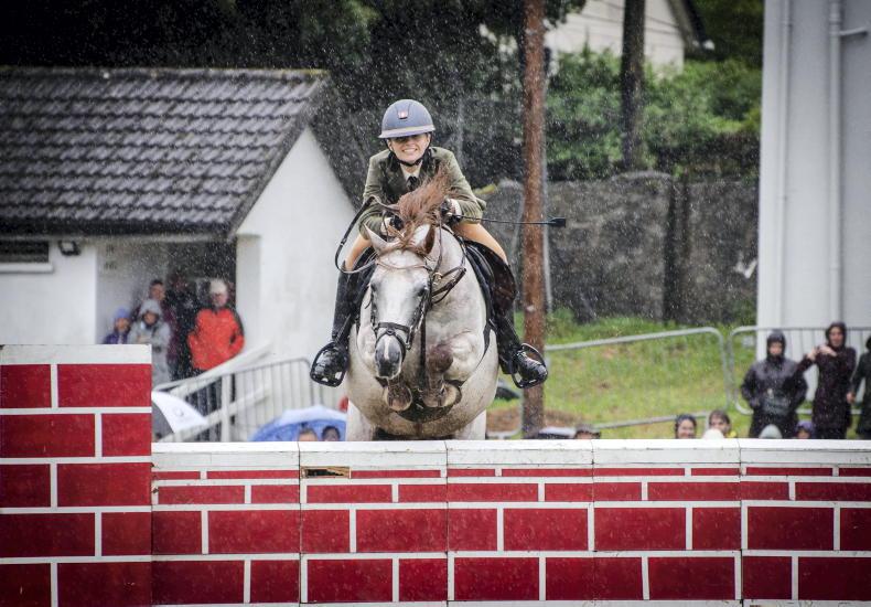 CLIFDEN SHOW 2023: Plucky Princess makes royal effort for record win - Vimarsana News