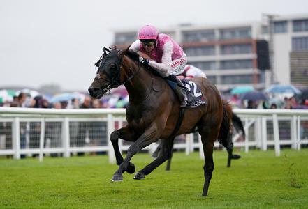 Sweet William backers guaranteed Ebor run - Vimarsana News
