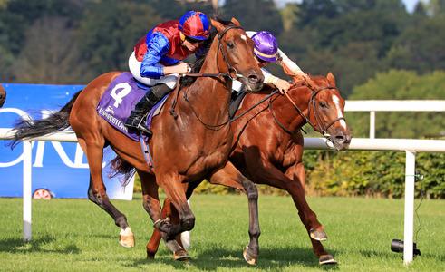 Luxembourg and Auguste Rodin both Irish Champion-bound - Vimarsana News