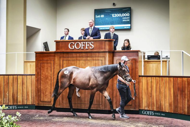 SALES: £200,000 Wootton Bassett colt heads Donny trade - Vimarsana News