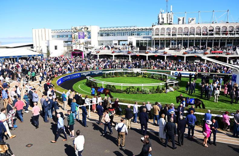 IRISH CHAMPIONS FESTIVAL: Derby foes' rematch takes centre stage at Leopardstown - Vimarsana News