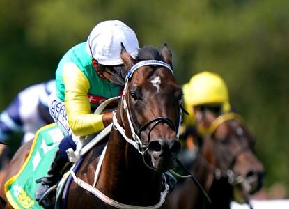 Champions Day option for speedy Mill Stream - Vimarsana News