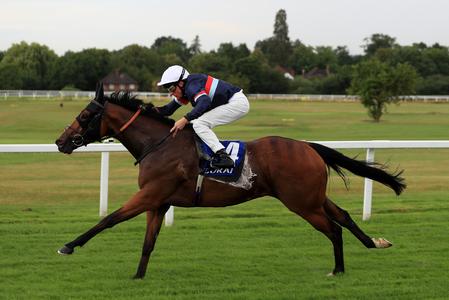 Curragh contest awaits for Equality after Nunthorpe run - Vimarsana News
