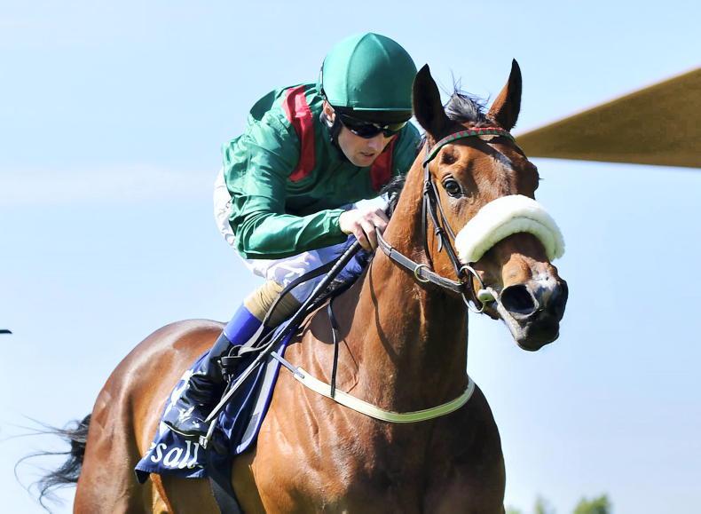 LEOPARDSTOWN SATURDAY: Mark Boylan's horse-by-horse guide to the Matron Stakes - Vimarsana News