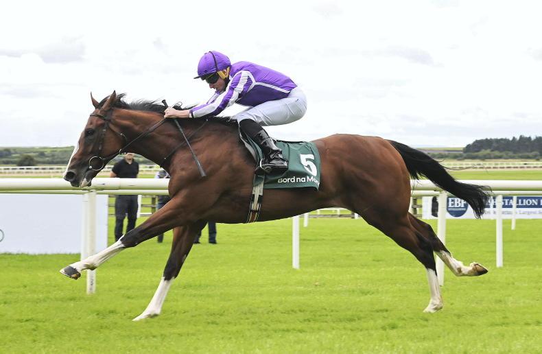 LEOPARDSTOWN SATURDAY: Expect Ballydoyle blue blood to enhance Derby claims - Vimarsana News