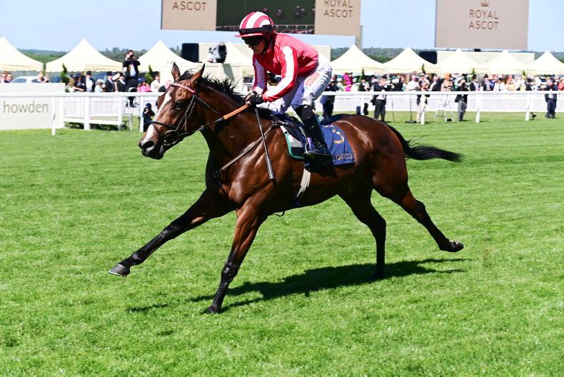 FLYING FIVE: Runner-by-runner preview - Vimarsana News