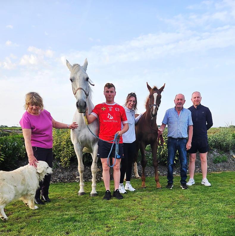 BREEDERS 10 - Gerry Lynch: The perfect finish - Vimarsana News