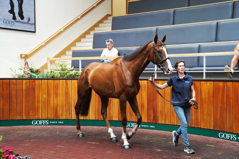 SALES: €33,000 top price at Doncaster - Vimarsana News