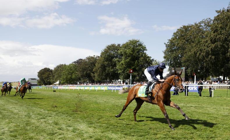NATIONAL STAKES: Slick City can power to National win - Vimarsana News