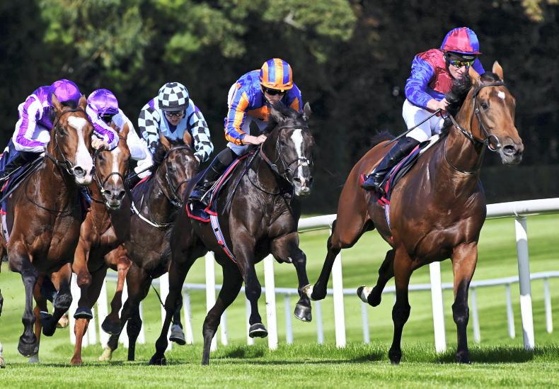 TONY KEENAN: Teamwork key in intriguing Champion Stakes - Vimarsana News