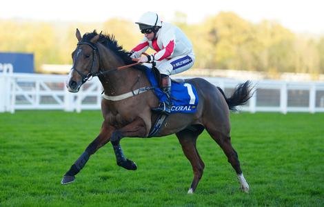 Goshen possible for Cesarewitch before new jumping campaign - Vimarsana News