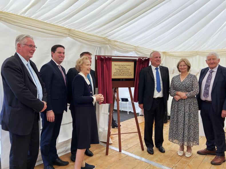 NEWS: Why the Irish Equine Centre is so important - Vimarsana News