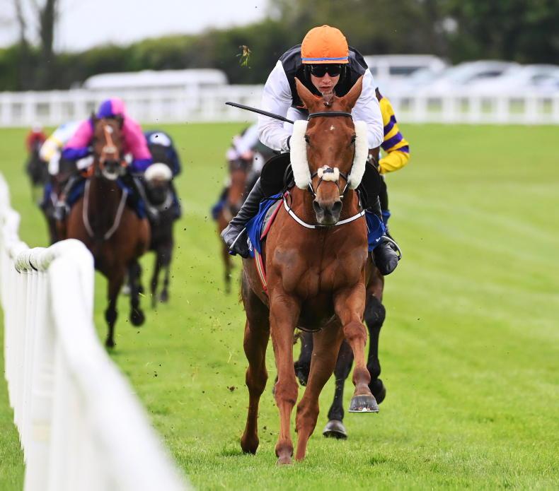 NAVAN SATURDAY: Back consistent Banntown to bank another win - Vimarsana News