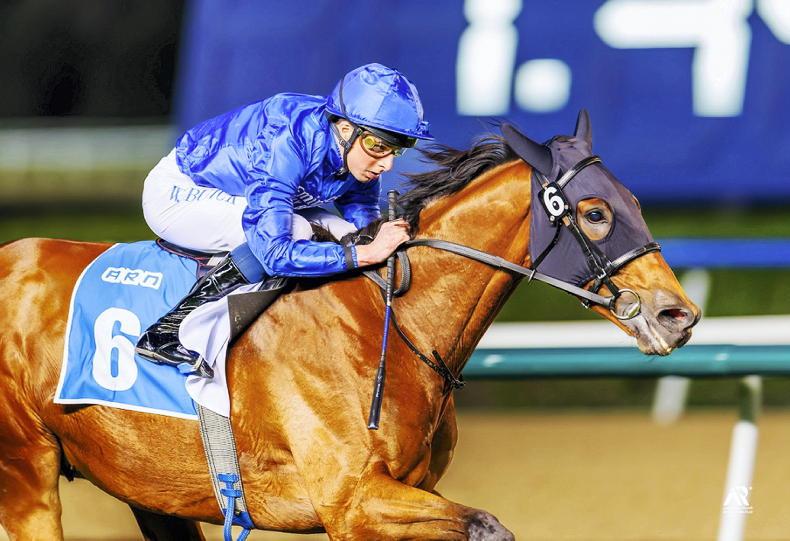 AMERICAN PREVIEW: Appleby the Woodbine master? - Vimarsana News