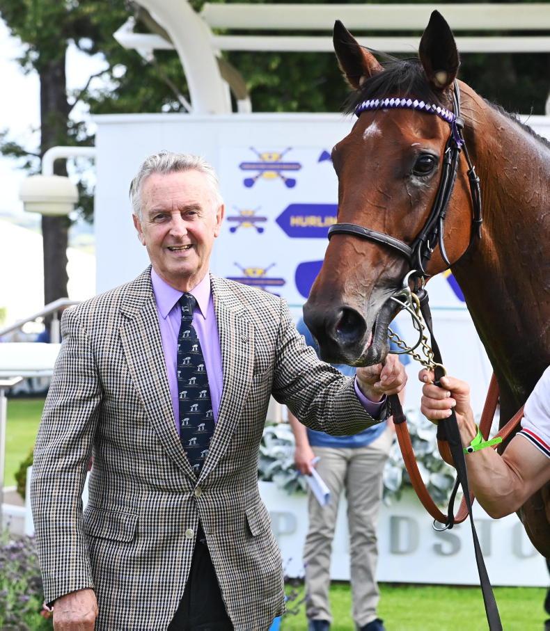 LISTOWEL TUESDAY: This 9/1 shot can strike for Jim Bolger - Vimarsana News