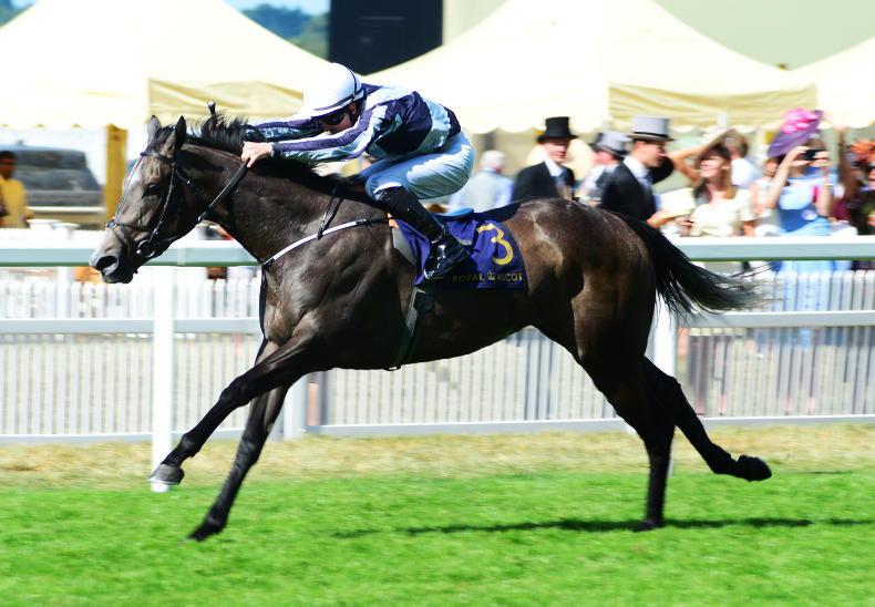 Niarchos Family selling 44 mares at Goffs November Sale - Vimarsana News