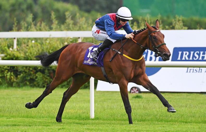 WATCH: Meade filly Looking very good again - Vimarsana News