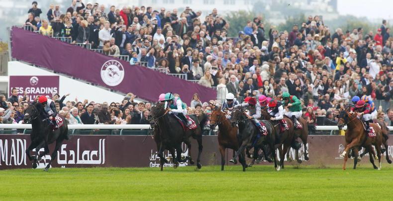 Good draw for sole Irish Arc raider - Vimarsana News
