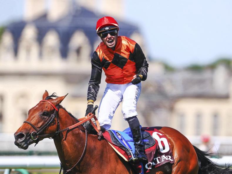 PARISLONGCHAMP PREVIEW: Who is the Ace in the Arc pack? - Vimarsana News