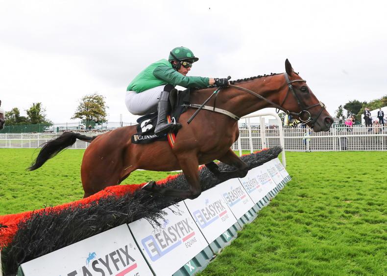 TIPPERARY SUNDAY: Zarak The Brave can headline big day for Mullins - Vimarsana News