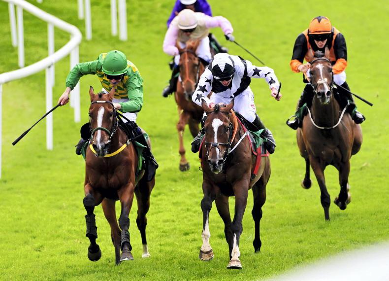 KILLARNEY SUNDAY: Go with Gortmillish to complete a hat-trick - Vimarsana News