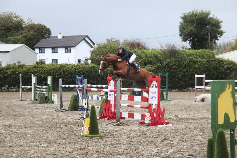 SHOW JUMPING: Derwin delivers to secure second GP win - Vimarsana News