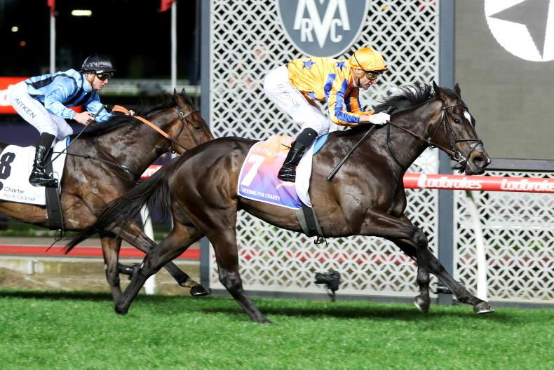 AUSTRALIA: Rediener gets it on the line in Epsom - Vimarsana News