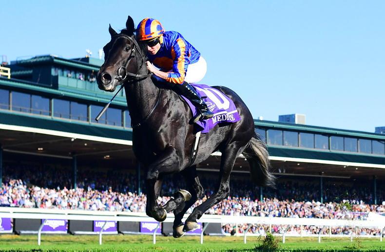 RACING CENTRAL: Meditate out to boost modest Irish record in Sun Chariot Stakes - Vimarsana News