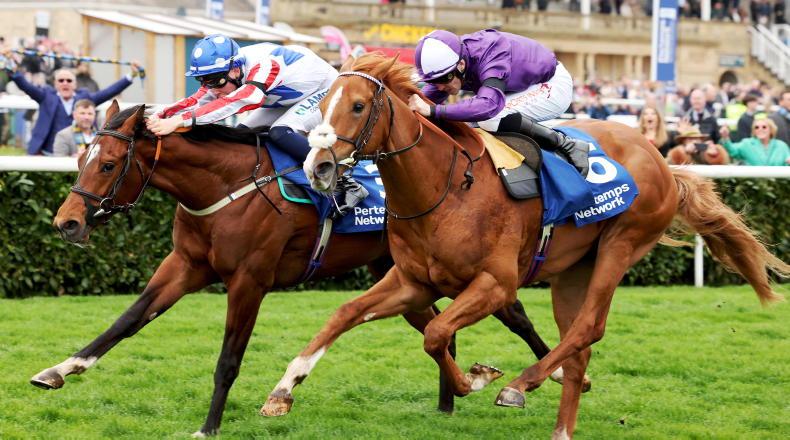 SALES: Irish trainers selling at Doncaster - Vimarsana News