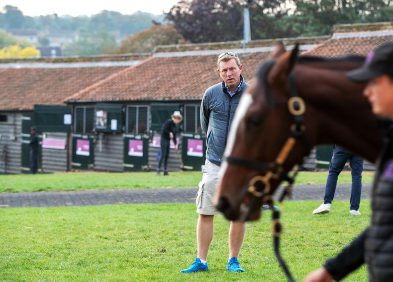SALES: Wootton Bassett colts in demand at Newmarket - Vimarsana News