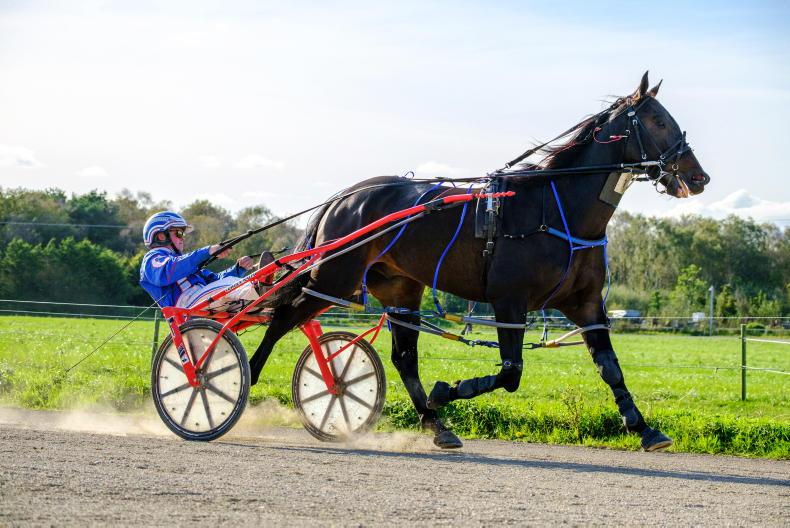 HARNESS RACING: Cowden takes command - Vimarsana News