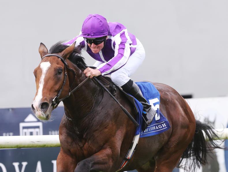 FRENCH PREVIEW: Illinois chases Group 1 success - Vimarsana News
