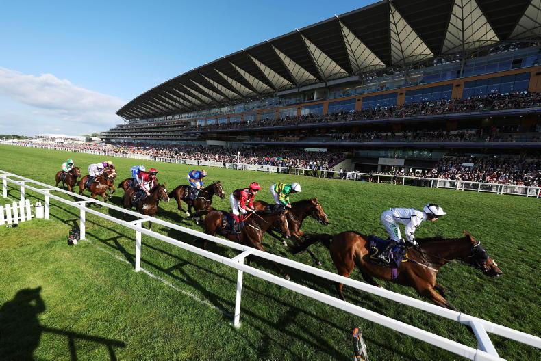 RORY DELARGY PREVIEW: Who will be King of British Champions day? - Vimarsana News