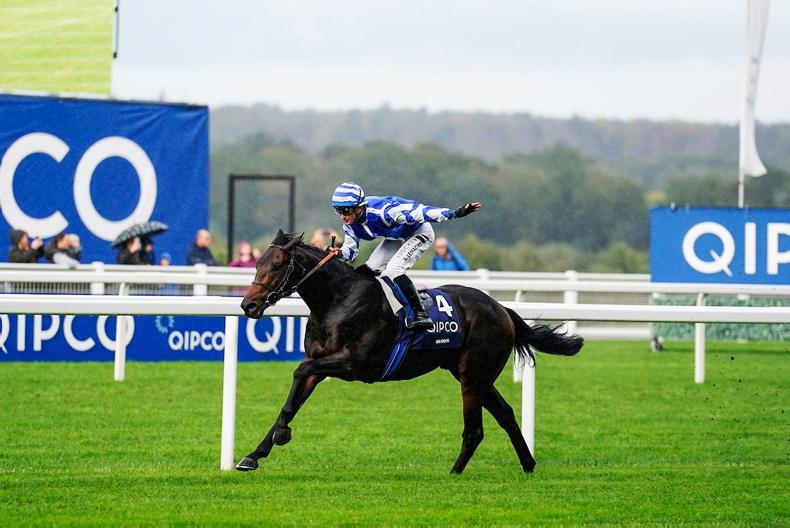 WATCH: Big Rock sensational in QEII - Vimarsana News