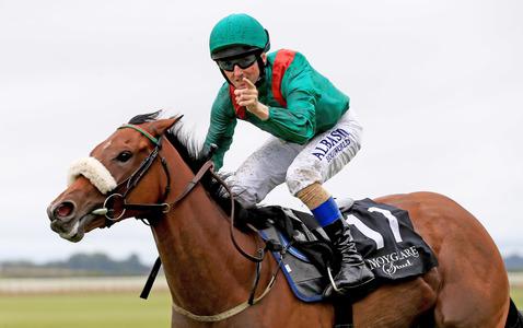 Tahiyra retired following gallant QEII effort - Vimarsana News