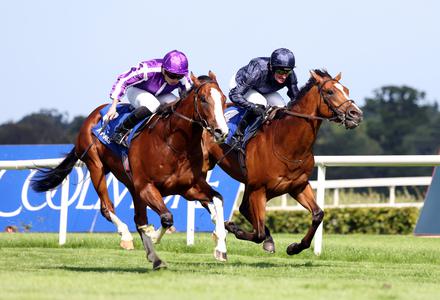 Diego Velazquez declared for Doncaster Group 1 test - Vimarsana News