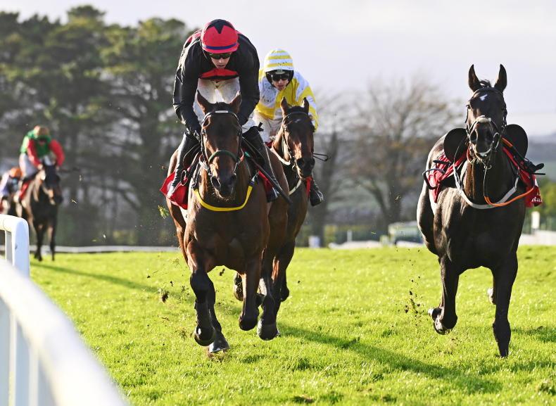 GALWAY SUNDAY: Top prospect Fury can fire in a win on chase debut - Vimarsana News
