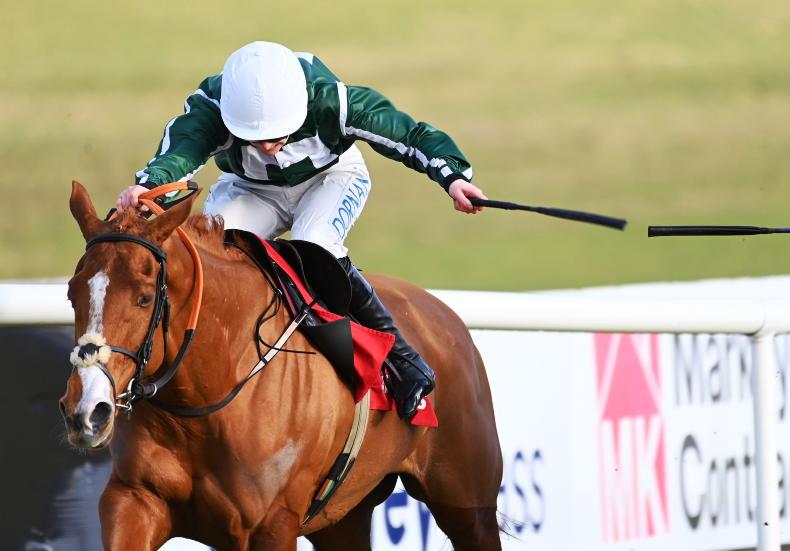 WEXFORD SUNDAY: Lioness can get her career back on track - Vimarsana News