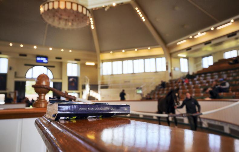 SALES: Godolphin supporting mixed sale at Newmarket - Vimarsana News