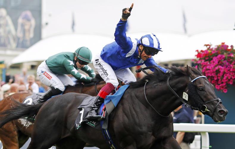 Mostahdaf to stand in Newmarket next season - Vimarsana News
