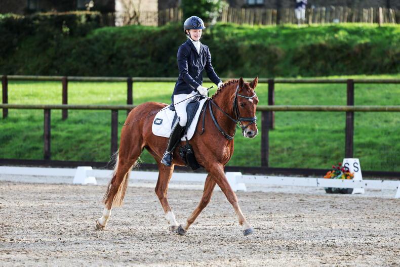 DRESSAGE: Final HSI Autumn Dressage Development League qualifier held - Vimarsana News