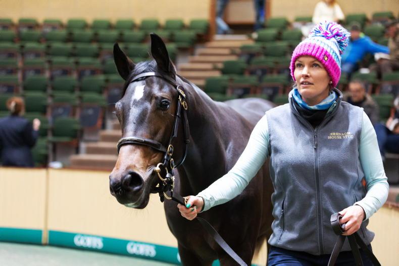 SALES: Dermot Weld to train Thursday's top lots - Vimarsana News