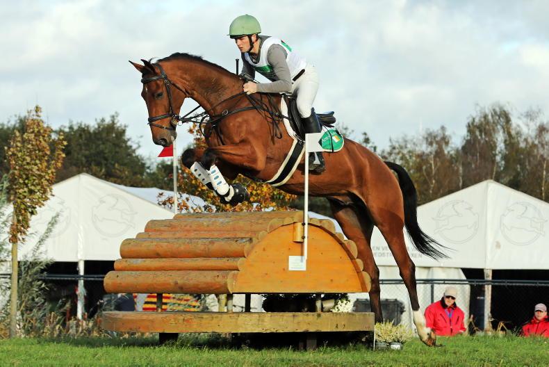 INTERNATIONAL: Patrick Whelan on form in Kronenberg - Vimarsana News