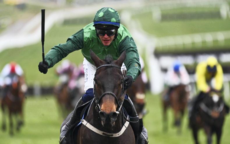 MARK BOYLAN: When is the peak time of year to find future Cheltenham winners? - Vimarsana News