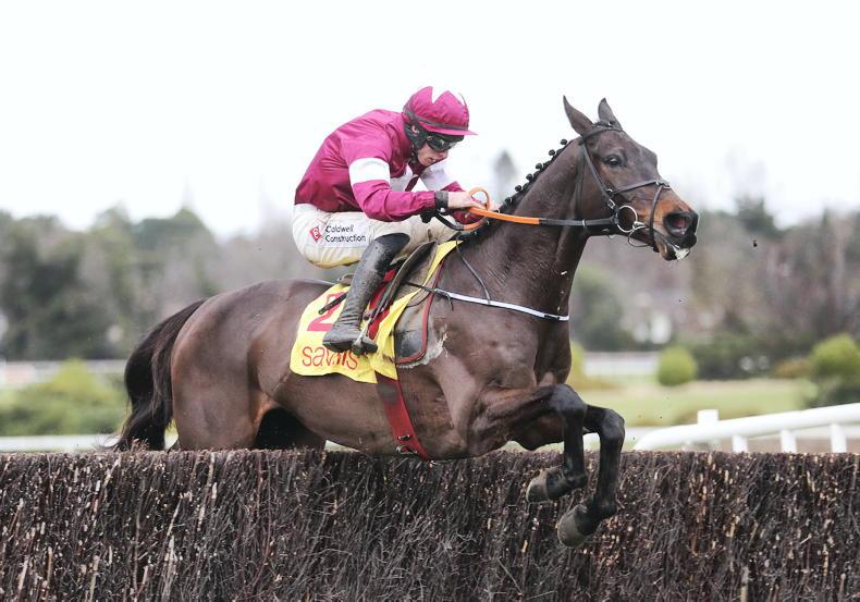 LADBROKES CHAMPION CHASE: Conflated can put it up to Gerri - Vimarsana News