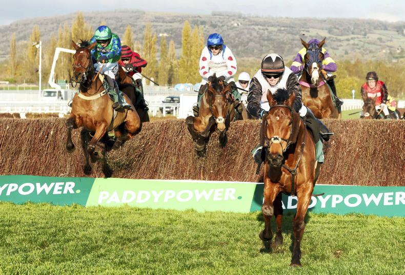 Three Irish left in Saturday's Cheltenham feature - Vimarsana News