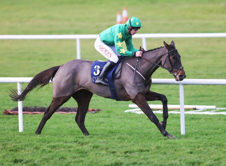 BREEDING INSIGHTS: O'Neill strikes gold again with Affinisea 24 November 2023 Free - Vimarsana News