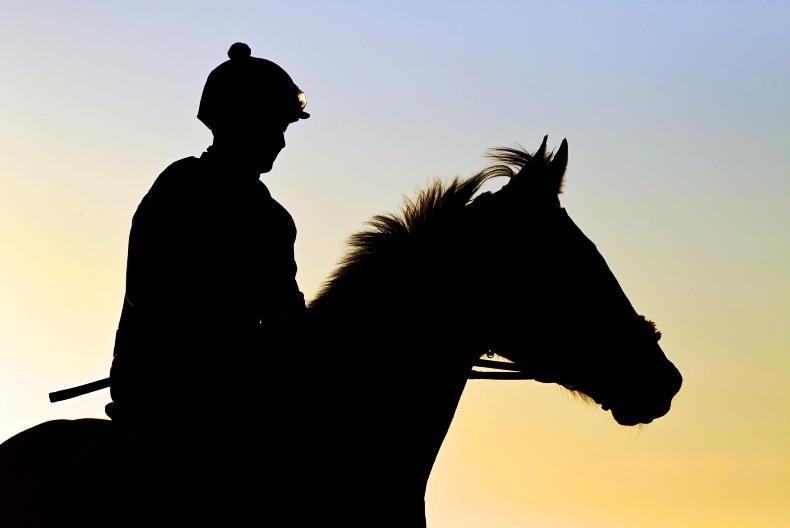 LADBROKES NAP TABLE: Selections for Fairyhouse this weekend - Vimarsana News